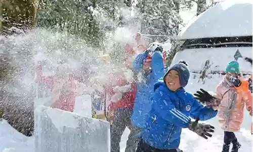 打雪仗的阵容怎么搭配