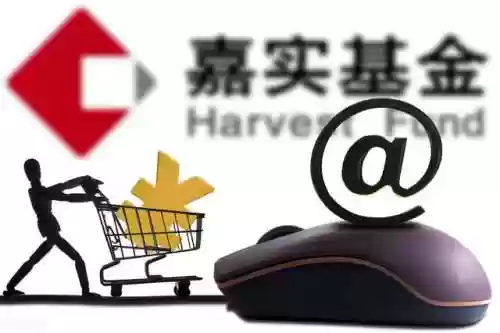 王牌基金阵容(钻石王牌之最佳阵容)插图8