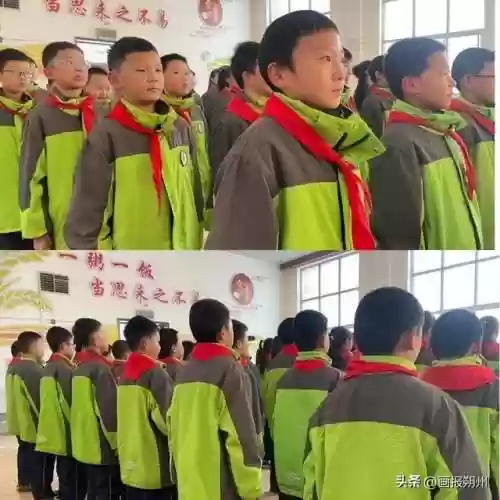 原地立正阵容(航海王启航击倒队阵容怎么搭配)插图4 原地立正阵容(航海王启航击倒队阵容怎么搭配)插图4