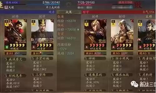 鲁肃白板阵容搭配