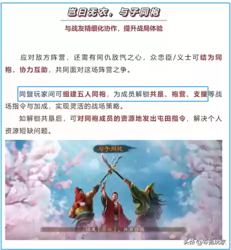 汉关羽阵容(关羽最稳的一套阵容)插图6
