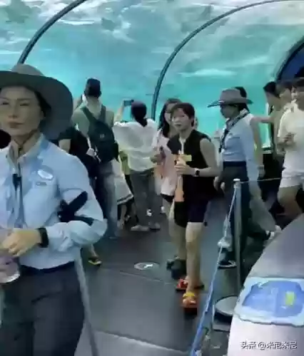海洋王国阵容(海洋王国阵容搭配攻略)插图3