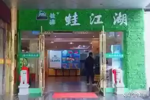 美人蛙阵容(宝可梦t0阵容)插图20