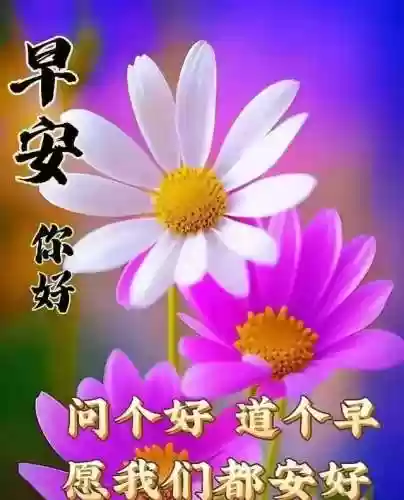 朋友阵容文案(朋友圈推广文案)插图11