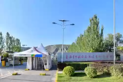 高原精英阵容(剑与远征新手阵容)插图1