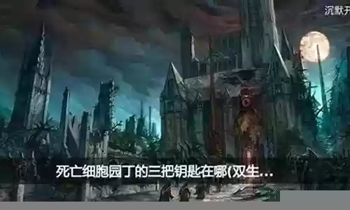 园丁阵容搭配攻略