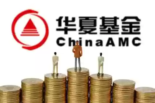 王牌基金阵容(钻石王牌之最佳阵容)插图9