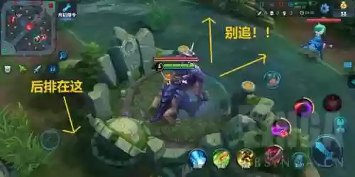 赢政单排阵容(守塔不能停嬴政阵容搭配)插图2