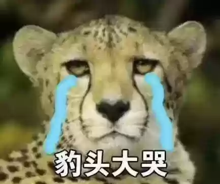 液体历史阵容(明日方舟阵容)插图3