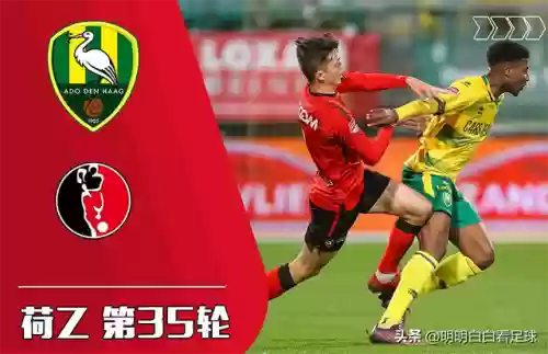 海尔蒙特阵容(艾尔海森主c阵容)