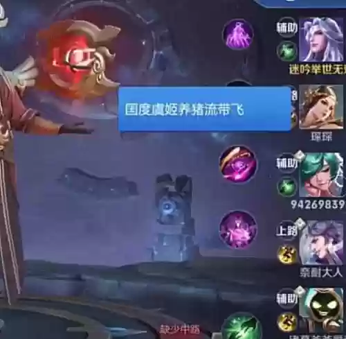虞姬养猪阵容(虞姬的最佳辅助)