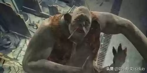 哈利禁地阵容(哈利波特魔法觉醒最强卡牌组合)