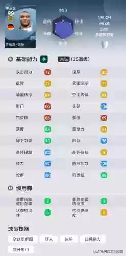 实况曼奇尼阵容(实况足球2000最强阵容)插图6