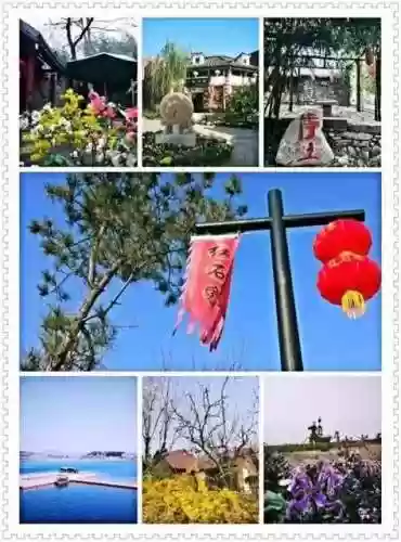 清乐竹林阵容(阴阳师单体阵容)插图16