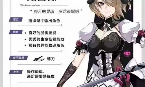 黯蔷薇搭配阵容