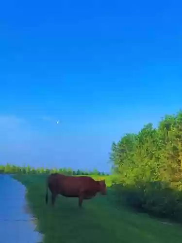 觉醒摩羯座阵容(十二星座摩羯座)插图6