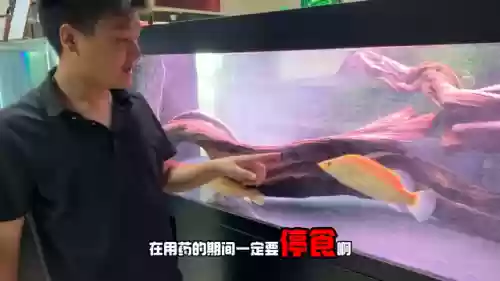 变异大眼阵容(风暴之眼最强阵容搭配)插图3