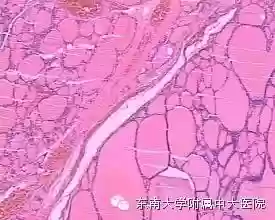医院专家阵容(霸气英雄最佳阵容搭配)插图39