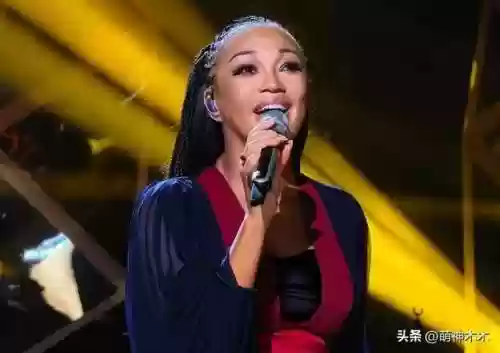 歌手阵容替补(我是歌手第三季阵容)插图3 歌手阵容替补(我是歌手第三季阵容)插图3