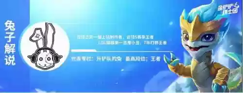 吊打猫咪阵容(猫三国最强阵容)