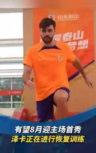 鲁能核心阵容(鲁能球员全部名单)插图1