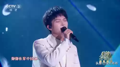 晚会阵容 临海(中央卫视跨年阵容)插图2
