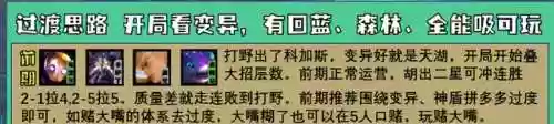 成长变异阵容(涅槃重生第5阵容搭配图最新)插图13