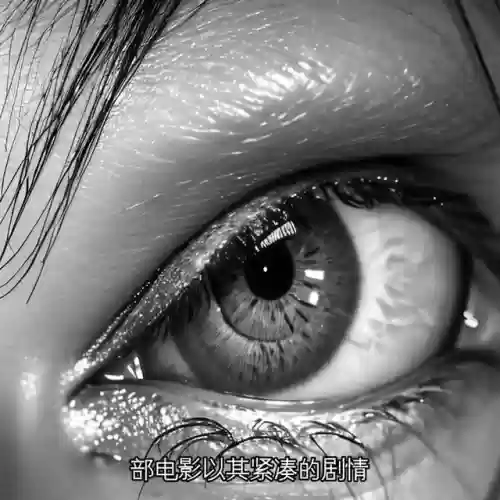 狂飙民间阵容(关关张开荒转型阵容推荐)