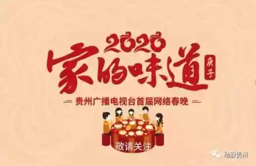 贵州春晚阵容(春晚服装图片大全)插图10