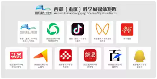 重庆保安阵容(重庆保安公司排名前十)插图4