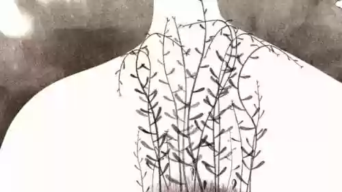 克罗地亚阵容动画(克罗地亚阵容)插图12