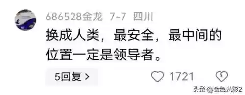 雪地阵容搭配(剑与远征雪地红影通关玩法攻略)插图3