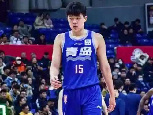 49级阵容(原神4.4版本阵容推荐)