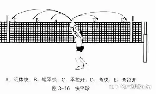 排球快攻阵容搭配