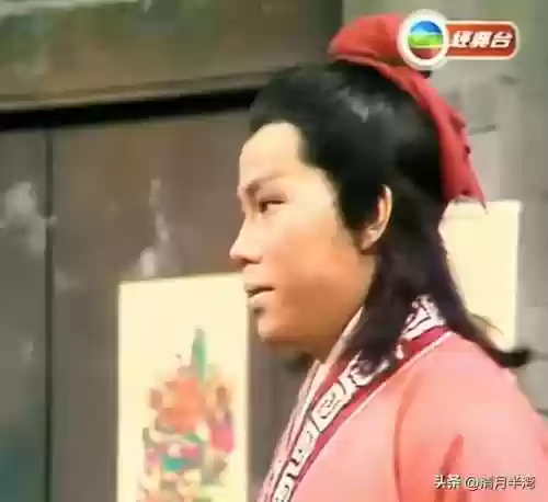 杨康阵容搭配(新射雕群侠传之铁血丹心杨过阵容)插图4