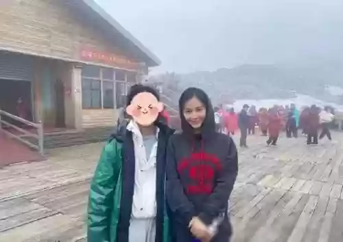 玉龙阵容装扮(宝可梦t0阵容)插图2