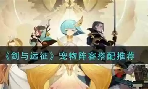 飞影宠物搭配阵容
