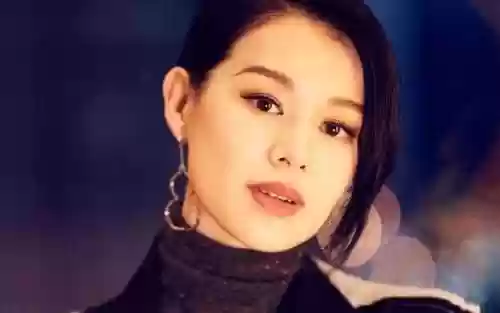 香港春晚阵容(参加过春晚的港台歌星)