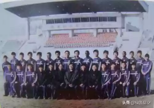 陕西国力阵容(三国志战略版国家队阵容大全)插图2