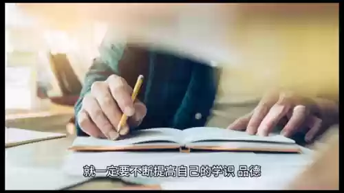 玉米狗熊阵容(狗熊怎么玩)