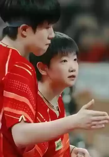 白眼阵容王者(王者荣耀模拟战最强阵容)插图10