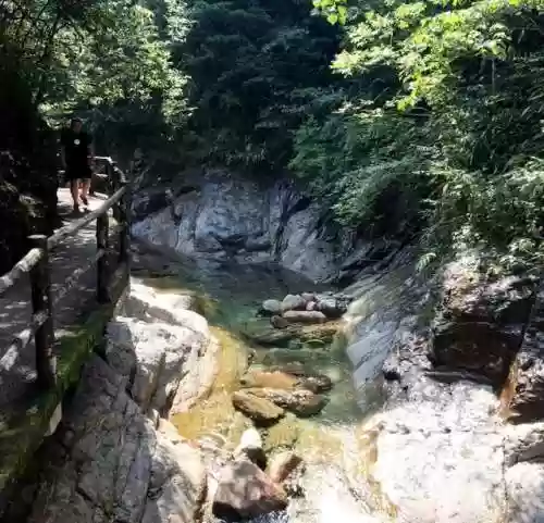 浙江之声阵容(浙江选科最佳组合)插图14 浙江之声阵容(浙江选科最佳组合)插图14