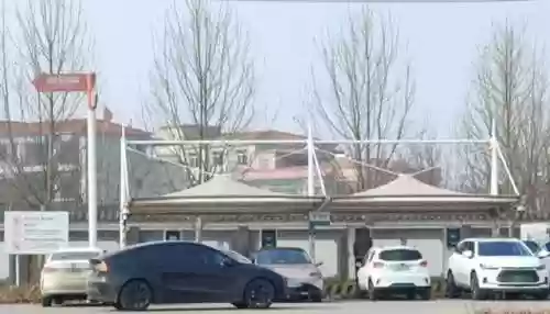 能源大厅阵容(海洋王国最强阵容搭配)插图1