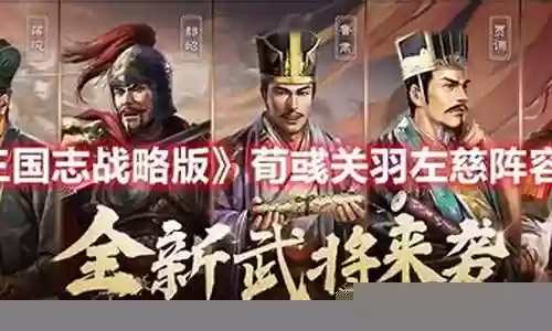 白板荀彧阵容搭配