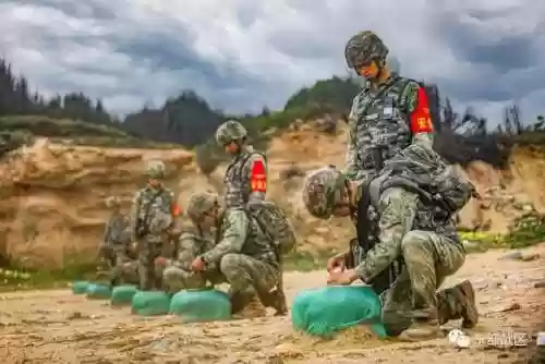 硬核冲锋阵容(强音对决最强阵容搭配)插图29