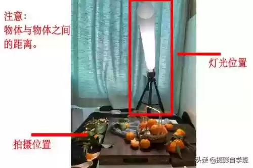 桔子摄影阵容(动物自走棋阵容推荐)插图2