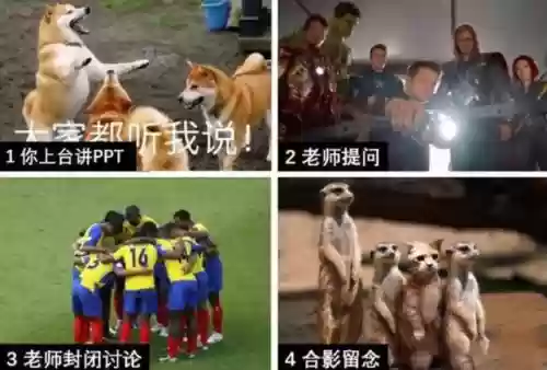 毕业答辩阵容(答辩出场顺序哪个好)