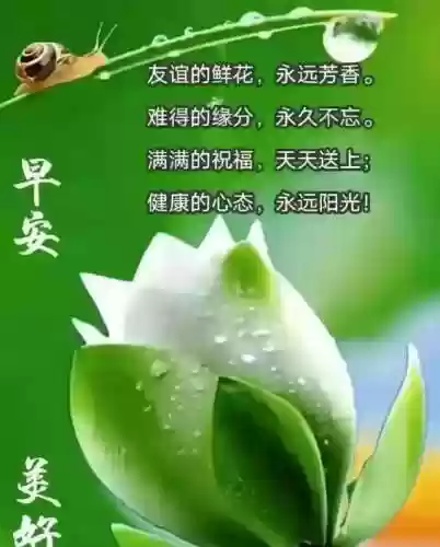 朋友阵容文案(朋友圈推广文案)插图5