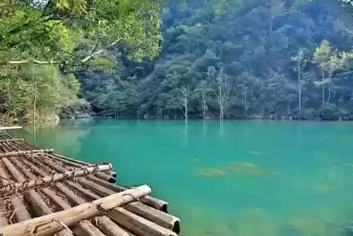 浙江之声阵容(浙江选科最佳组合)插图10 浙江之声阵容(浙江选科最佳组合)插图10