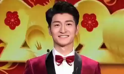 2022央视阵容(央视春晚主持人阵容正式公布)插图18